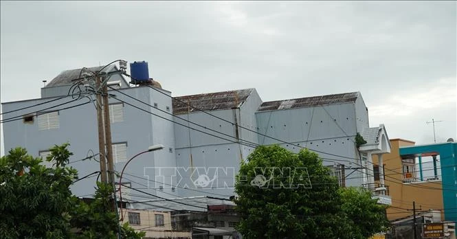 An Giang quy định vùng không được nuôi chim yến An Giang quy định vùng không được nuôi chim yến