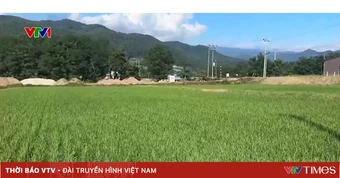 Áp lực chi phí đè nặng lên nghành nông nghiệp Nhật Bản