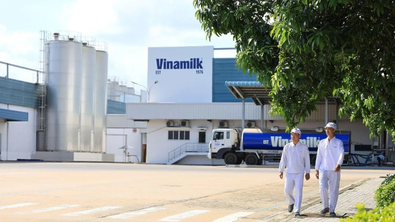 Ba năm liền góp mặt trong Fortune SEA 500: Vinamilk khẳng định vị thế thương hiệu sữa Việt