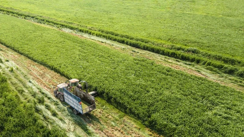 Ba năm liền góp mặt trong Fortune SEA 500: Vinamilk khẳng định vị thế thương hiệu sữa Việt