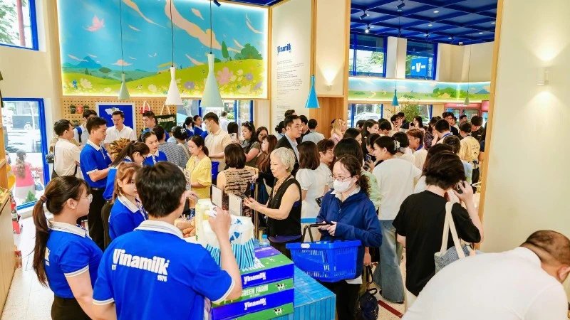 Ba năm liền góp mặt trong Fortune SEA 500: Vinamilk khẳng định vị thế thương hiệu sữa Việt