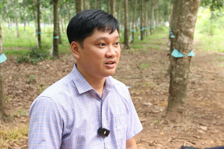 Ba thế hệ giữ màu xanh cao su Ba thế hệ giữ màu xanh cao su
