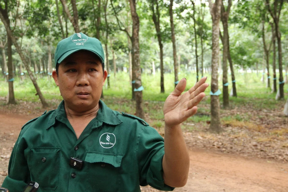 Ba thế hệ giữ màu xanh cao su Ba thế hệ giữ màu xanh cao su