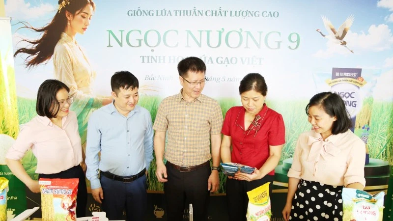 Bắc Ninh: Đề xuất đưa giống lúa Ngọc Nương 9 vào cơ cấu hỗ trợ giống Bắc Ninh: Đề xuất đưa giống lúa Ngọc Nương 9 vào cơ cấu hỗ trợ giống