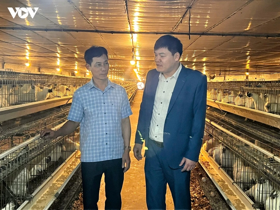 Bắc Ninh tăng cường bảo vệ gia súc, gia cầm, tránh sốc nhiệt mùa nắng nóng Bắc Ninh tăng cường bảo vệ gia súc, gia cầm, tránh sốc nhiệt mùa nắng nóng