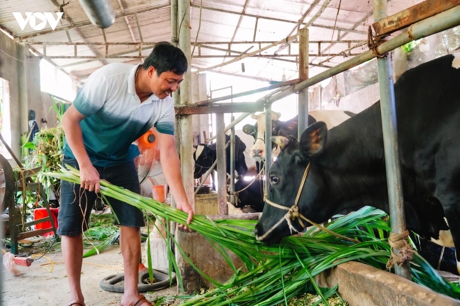 Bắc Ninh tăng cường bảo vệ gia súc, gia cầm, tránh sốc nhiệt mùa nắng nóng Bắc Ninh tăng cường bảo vệ gia súc, gia cầm, tránh sốc nhiệt mùa nắng nóng