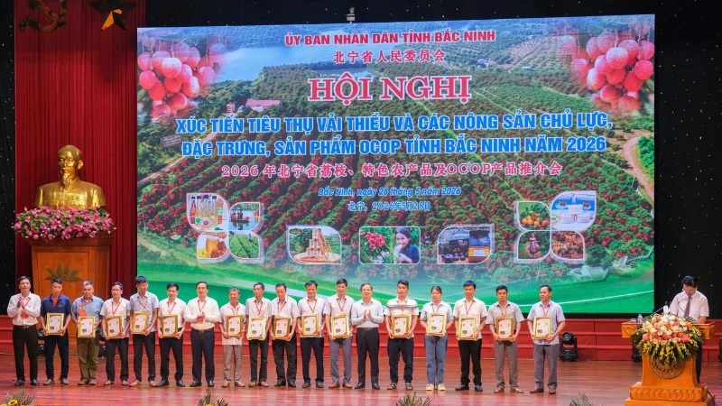 Bắc Ninh thúc đẩy chuỗi liên kết, nâng cao giá trị vải thiều Bắc Ninh thúc đẩy chuỗi liên kết, nâng cao giá trị vải thiều
