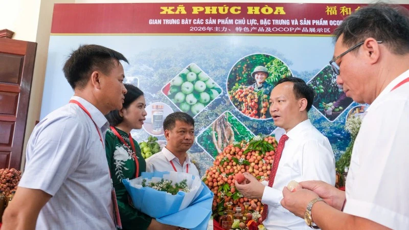 Bắc Ninh thúc đẩy chuỗi liên kết, nâng cao giá trị vải thiều Bắc Ninh thúc đẩy chuỗi liên kết, nâng cao giá trị vải thiều