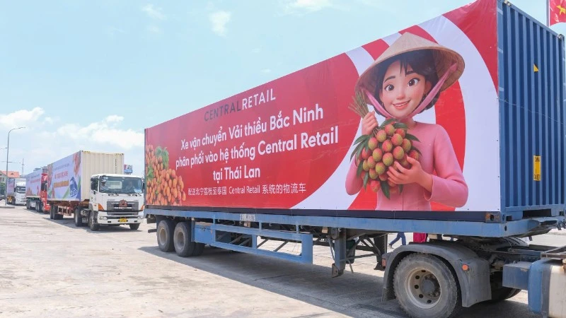 Bắc Ninh thúc đẩy chuỗi liên kết, nâng cao giá trị vải thiều Bắc Ninh thúc đẩy chuỗi liên kết, nâng cao giá trị vải thiều
