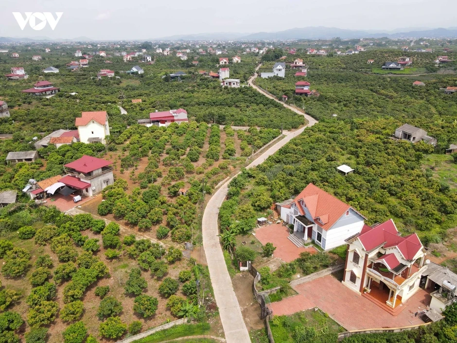Bắc Ninh tiêu thụ hơn 30 nghìn tấn vải thiều với giá 60.000-70.000 đồng/kg Bắc Ninh tiêu thụ hơn 30 nghìn tấn vải thiều với giá 60.000-70.000 đồng/kg
