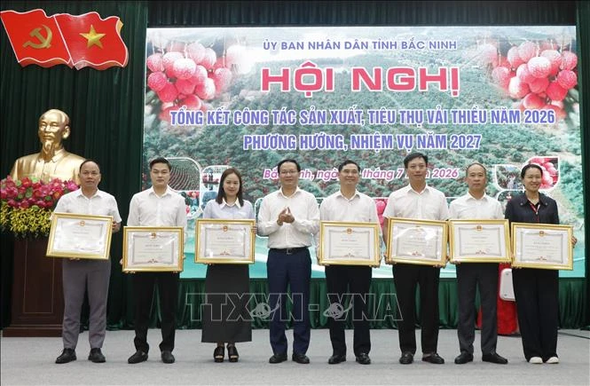 Bắc Ninh: Vụ vải thiều 2026 đạt doanh thu gần gấp đôi năm trước Bắc Ninh: Vụ vải thiều 2026 đạt doanh thu gần gấp đôi năm trước