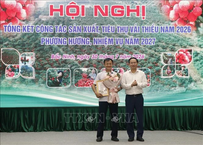 Bắc Ninh: Vụ vải thiều 2026 đạt doanh thu gần gấp đôi năm trước Bắc Ninh: Vụ vải thiều 2026 đạt doanh thu gần gấp đôi năm trước