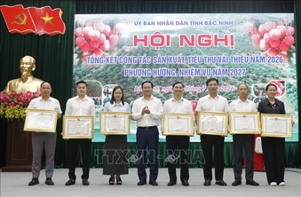 Bắc Ninh: Vụ vải thiều 2026&nbsp;đạt doanh thu gần gấp&nbsp;đôi năm trước