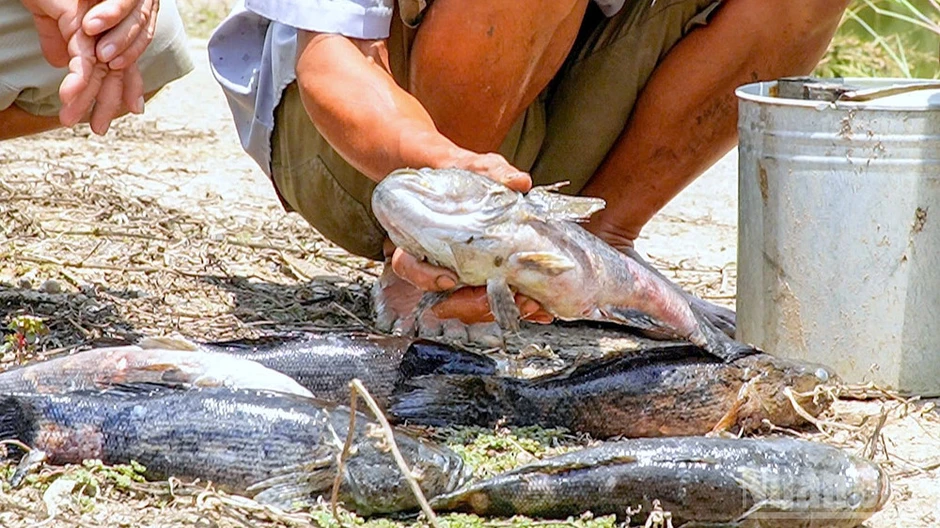 Bài 2: Đồng hành cùng dân để hài hòa giữa phát triển và an sinh
