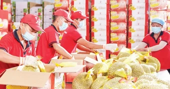 Bài 2: Kiến tạo nền tảng dữ liệu số