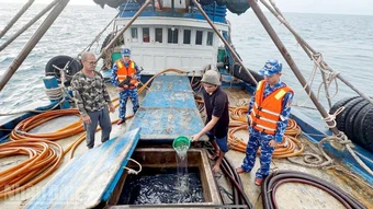 Ban Chỉ đạo 389 Quốc gia kiểm tra công tác chống buôn lậu tại Bộ Tư lệnh Vùng Cảnh sát biển 4