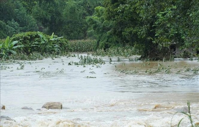 Ban Chỉ đạo Phòng thủ dân sự Quốc gia yêu cầu khẩn trương ứng phó mưa lũ Bắc Bộ