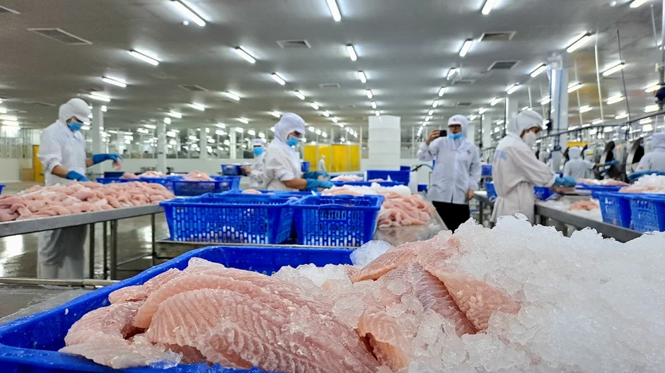 Bán thủy sản sang EU: Cẩn trọng bị trả hàng vì bao bì Bán thủy sản sang EU: Cẩn trọng bị trả hàng vì bao bì