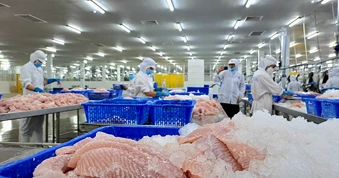 Bán thủy sản sang EU: Cẩn trọng bị trả hàng vì bao bì