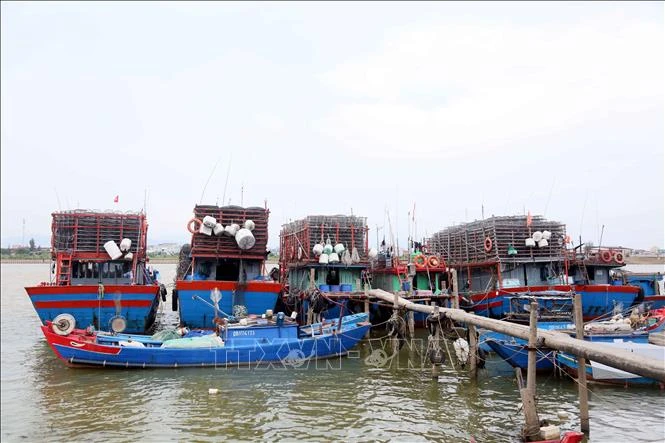 Bảo đảm an toàn đê điều, hồ chứa trước mùa mưa lũ Bảo đảm an toàn đê điều, hồ chứa trước mùa mưa lũ