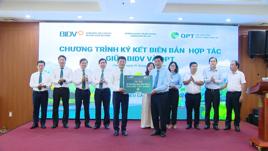 BIDV và Quỹ Cộng đồng phòng tránh thiên tai trồng 240.000 cây xanh tại Đồng bằng sông Cửu Long BIDV và Quỹ Cộng đồng phòng tránh thiên tai trồng 240.000 cây xanh tại Đồng bằng sông Cửu Long