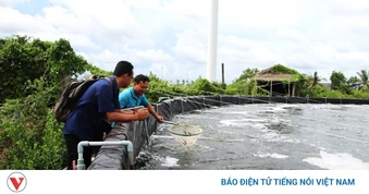 Biến chất thải thành năng lượng, lan tỏa nông nghiệp xanh