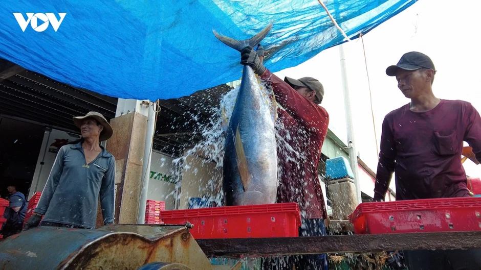 Biên phòng Gia Lai đồng hành cùng ngư dân chung tay gỡ “thẻ vàng” IUU Biên phòng Gia Lai đồng hành cùng ngư dân chung tay gỡ “thẻ vàng” IUU