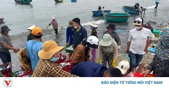 Biển thuận, ngư dân Lâm Đồng bội thu