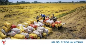 Bộ Công Thương ban hành Chỉ thị thúc đẩy sản xuất, xuất khẩu gạo