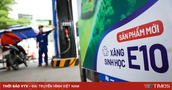 Bộ Công Thương: Hầu hết các loại xe đều phù hợp để sử dụng xăng E10