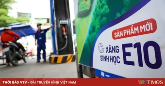 Bộ Công Thương: Không để gián đoạn nguồn cung xăng sinh học trong mọi tình huống