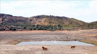 Bộ Nông nghiệp và Môi trường yêu cầu chủ động ứng phó El Nino 2026-2027