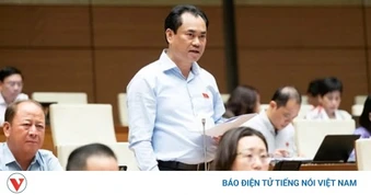 Bộ trưởng Trịnh Việt Hùng: Sẽ điều chỉnh quy hoạch rừng và đất lúa phù hợp thực tiễn