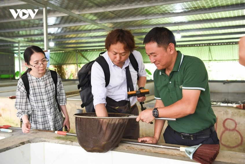 Bỏ việc ngân hàng về nuôi lươn, người đàn ông xây mô hình lớn nhất miền Bắc Bỏ việc ngân hàng về nuôi lươn, người đàn ông xây mô hình lớn nhất miền Bắc