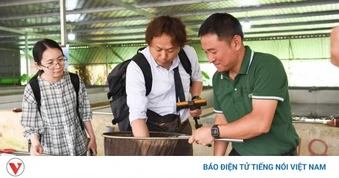 Bỏ việc ngân hàng về nuôi lươn, người đàn ông xây mô hình lớn nhất miền Bắc