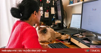 Bùng nổ làn sóng “doanh nghiệp một người”