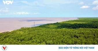 Cà Mau ban hành quy định về khung giá rừng