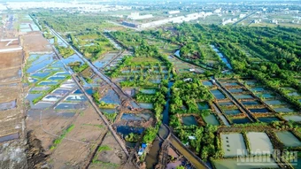 Cà Mau “chốt” mốc thời gian bồi thường vụ cá chết