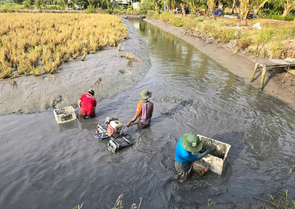Cà Mau chuyển đổi 88 ha đất lúa sang cây trồng và nuôi thủy sản Cà Mau chuyển đổi 88 ha đất lúa sang cây trồng và nuôi thủy sản
