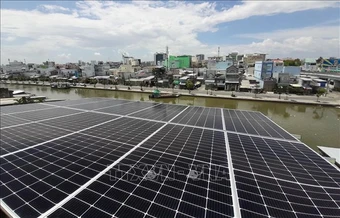 Cà Mau đầu tư mạnh hạ tầng lưới điện, đón sóng năng lượng tái tạo