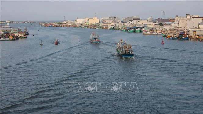 Cà Mau kiên quyết ngăn chặn và loại bỏ hoạt động khai thác IUU Cà Mau kiên quyết ngăn chặn và loại bỏ hoạt động khai thác IUU