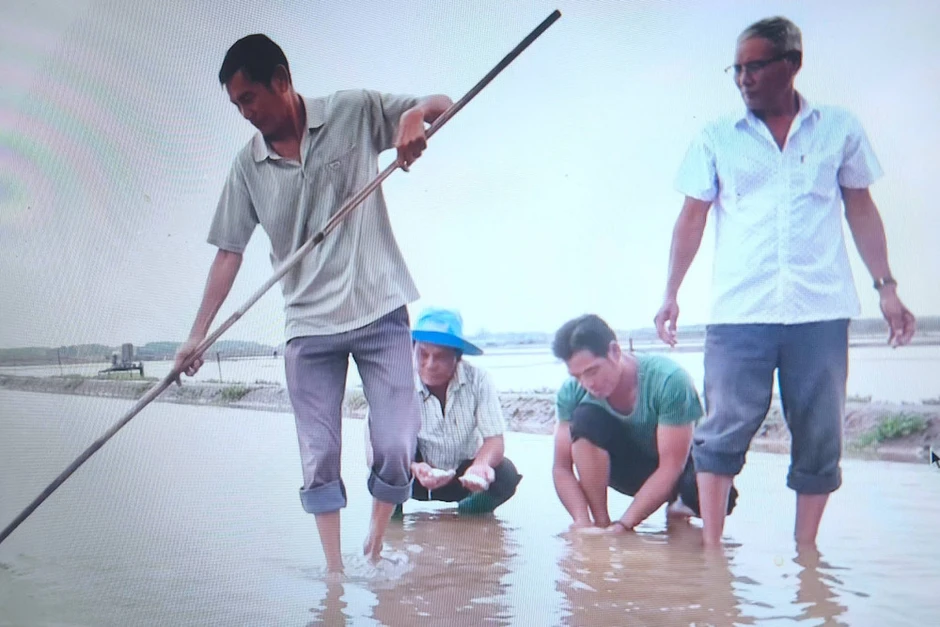 Cà Mau kịp thời hỗ trợ diêm dân khôi phục sản xuất sau mưa trái mùa Cà Mau kịp thời hỗ trợ diêm dân khôi phục sản xuất sau mưa trái mùa