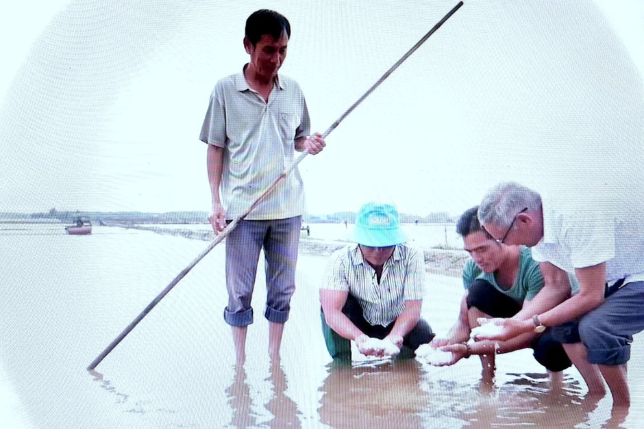 Cà Mau kịp thời hỗ trợ diêm dân khôi phục sản xuất sau mưa trái mùa Cà Mau kịp thời hỗ trợ diêm dân khôi phục sản xuất sau mưa trái mùa