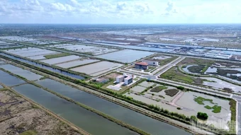 Cà Mau lập Ban Chỉ đạo gỡ vướng các dự án “treo”