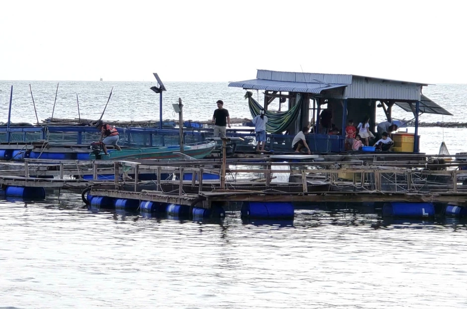 Cà Mau mở đợt cao điểm IUU: Lấy kết quả đánh giá hoàn thành nhiệm vụ năm