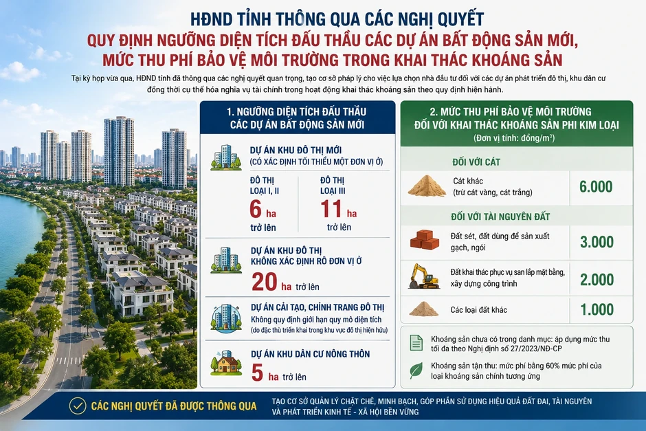 Cà Mau quy định ngưỡng diện tích đấu thầu các dự án bất động sản mới Cà Mau quy định ngưỡng diện tích đấu thầu các dự án bất động sản mới