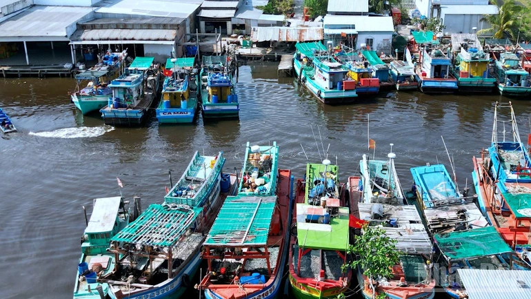 Cà Mau: Tìm giải pháp gỡ khó cho các tàu cá nằm bờ vì "bão giá" nhiên liệu