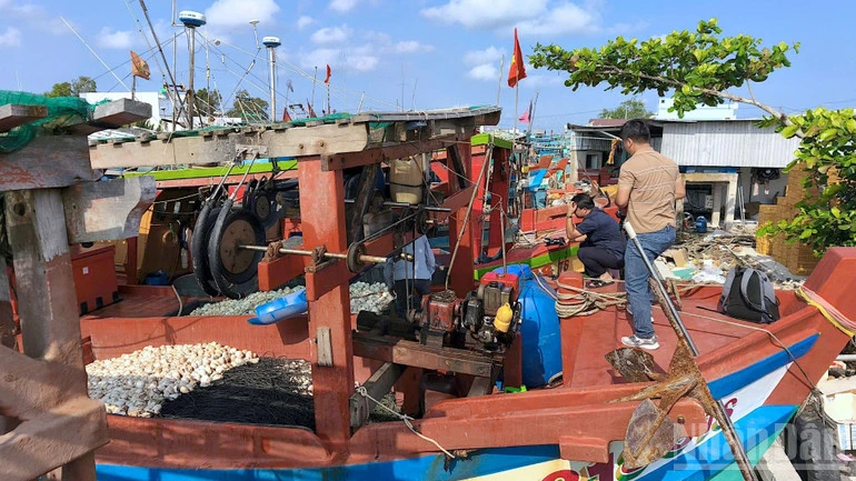Cà Mau: Tìm giải pháp gỡ khó cho các tàu cá nằm bờ vì "bão giá" nhiên liệu