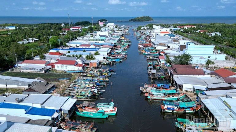 Cà Mau: Tìm giải pháp gỡ khó cho các tàu cá nằm bờ vì "bão giá" nhiên liệu