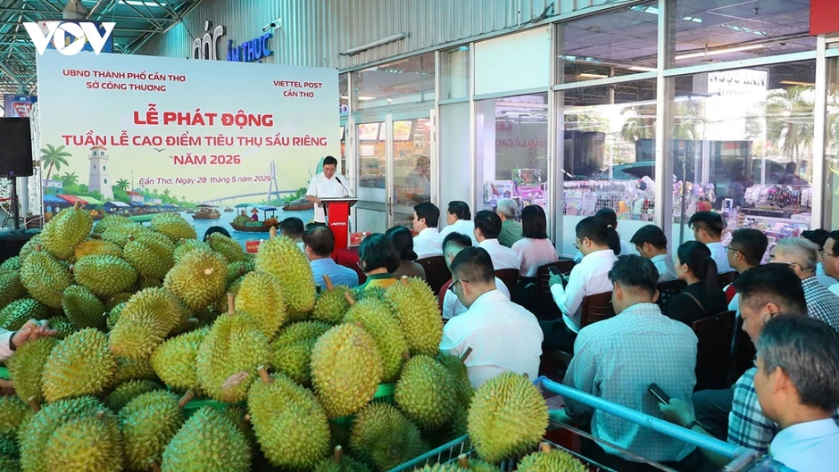 Cần Thơ hỗ trợ nông dân tiêu thụ hàng chục ngàn tấn sầu riêng sắp thu hoạch Cần Thơ hỗ trợ nông dân tiêu thụ hàng chục ngàn tấn sầu riêng sắp thu hoạch